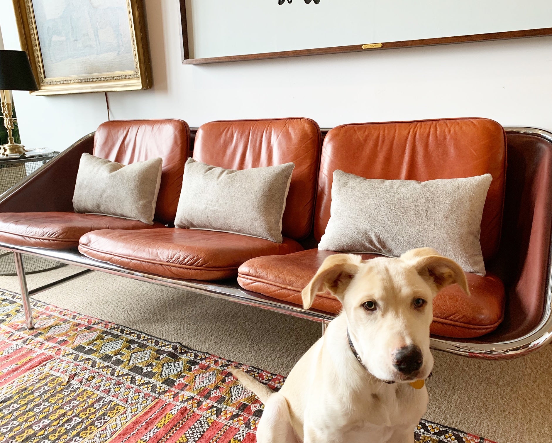 Salt and Pepper Cowhide Pillow, 21x13" - FORSYTH