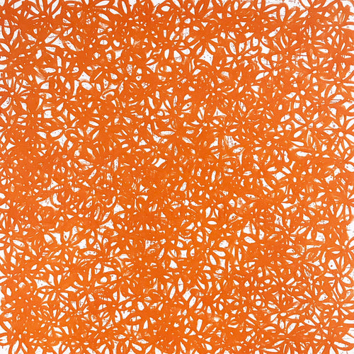 Daisies, Orange. - FORSYTH