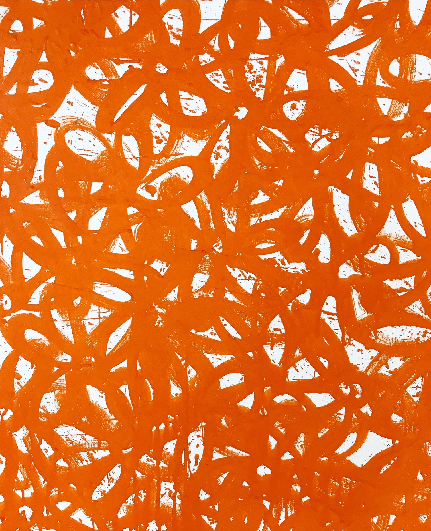 Daisies, Orange. - FORSYTH