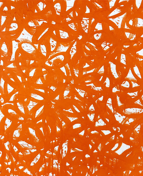 Daisies, Orange. - FORSYTH