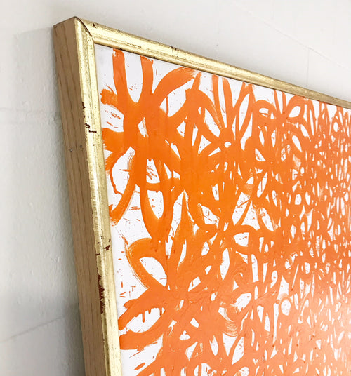 Daisies, Orange. - FORSYTH