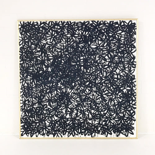 Daisies, Black. - FORSYTH