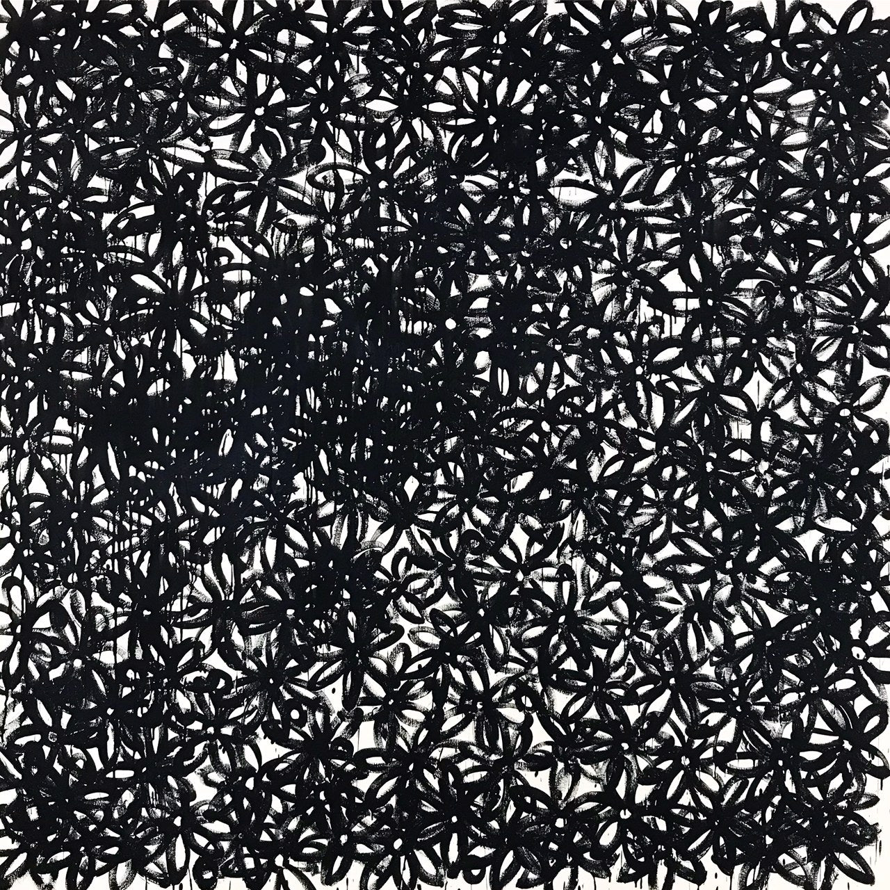 Daisies, Black. - FORSYTH