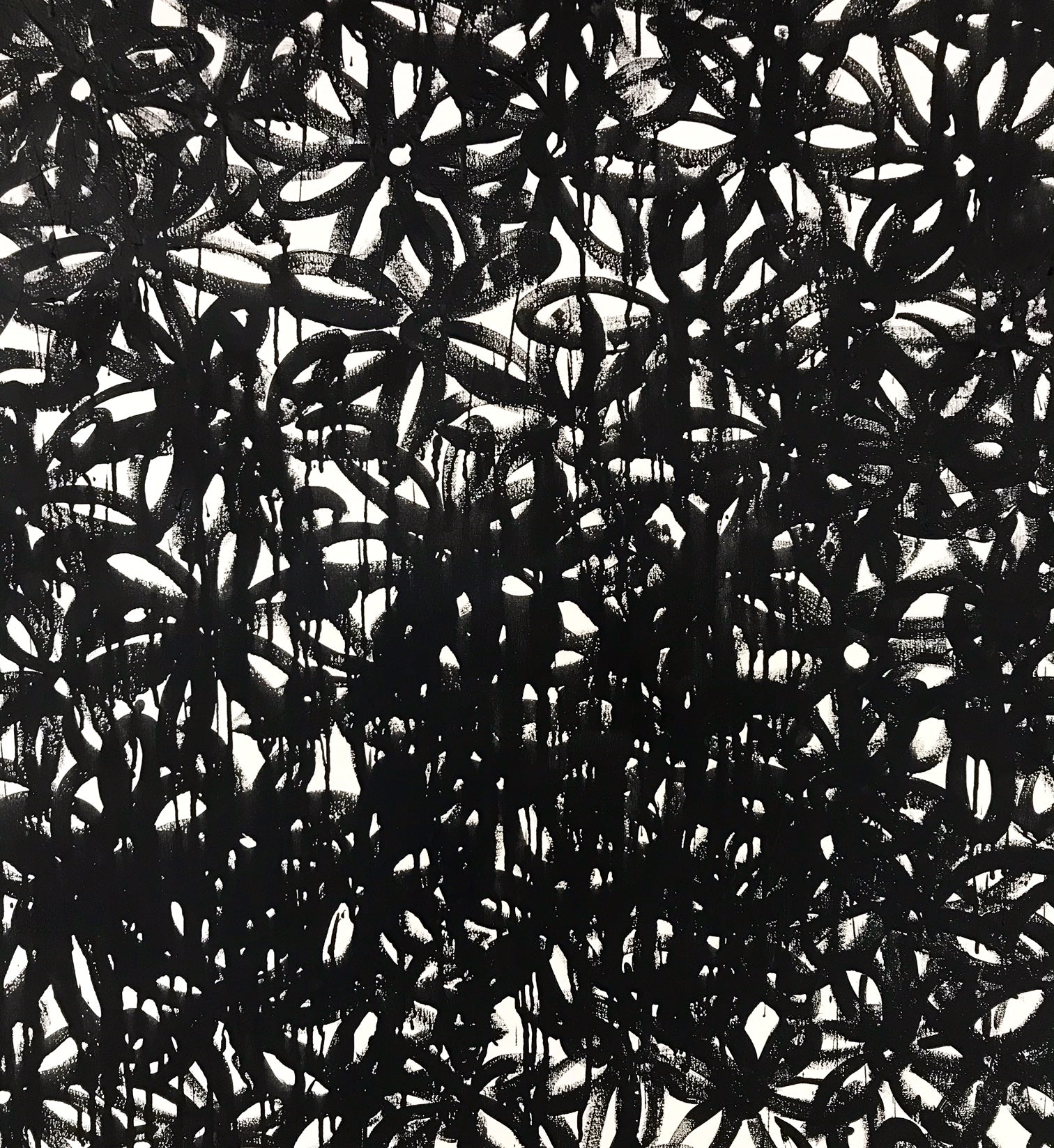 Daisies, Black. - FORSYTH