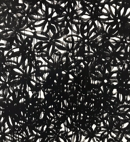 Daisies, Black. - FORSYTH