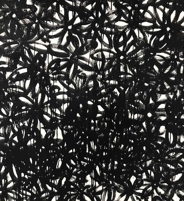 Daisies, Black. - FORSYTH