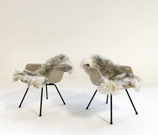 DAX Chairs with Sheepskins, Pair - FORSYTH