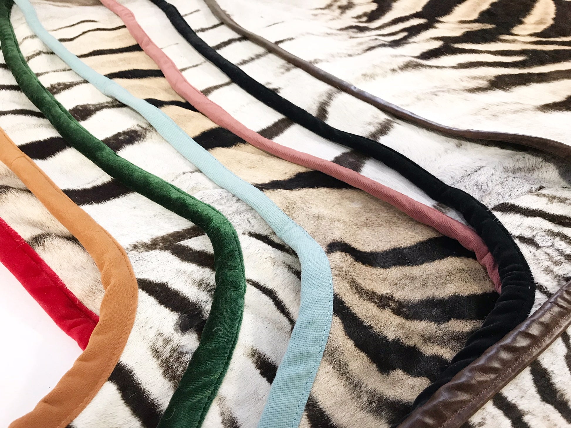 Zebra Hide Rug, Trimmed in Velvet - FORSYTH