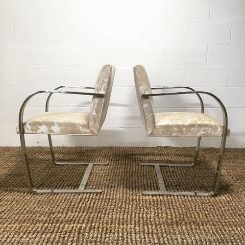 Brno Chairs in Brazilian Cowhide, pair - FORSYTH