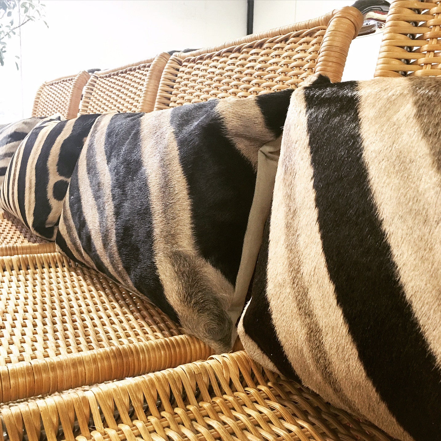 MR 10 Side Chairs with Zebra Hide Pillows, set of 4 - FORSYTH