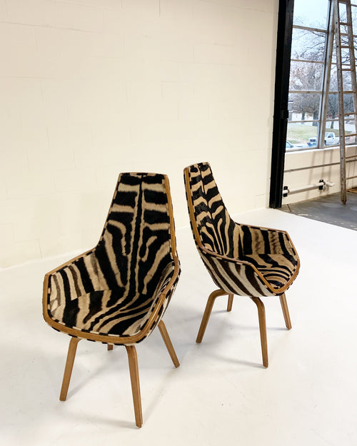 Rare Giraffe Chairs in Zebra Hide, pair - FORSYTH