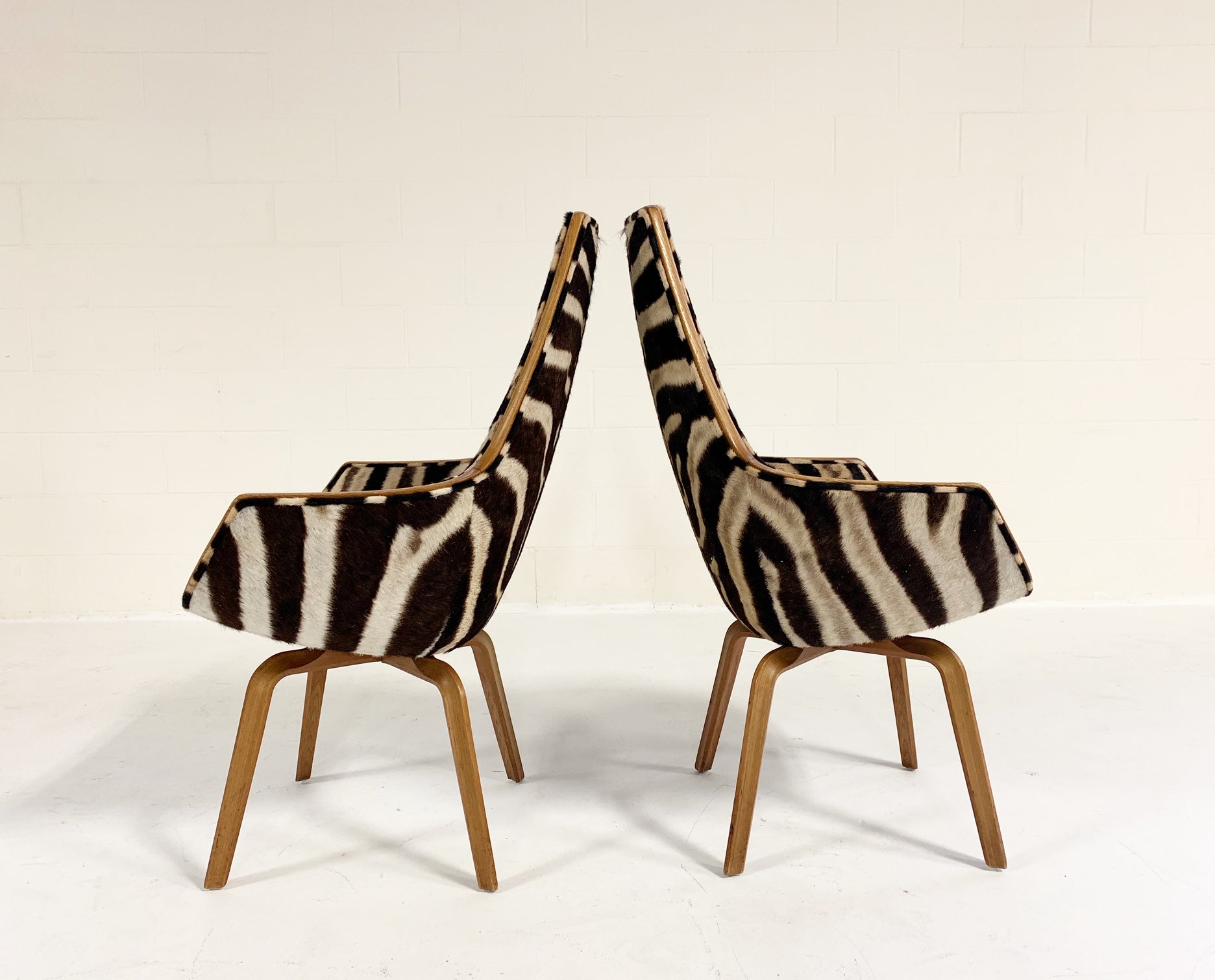 Rare Giraffe Chairs in Zebra Hide, pair - FORSYTH