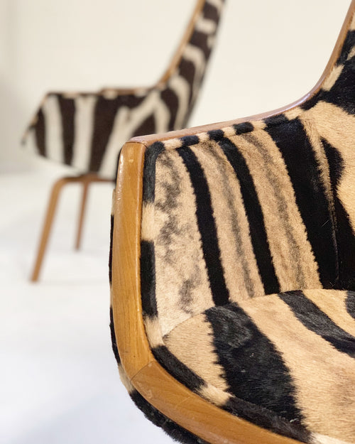 Rare Giraffe Chairs in Zebra Hide, pair - FORSYTH