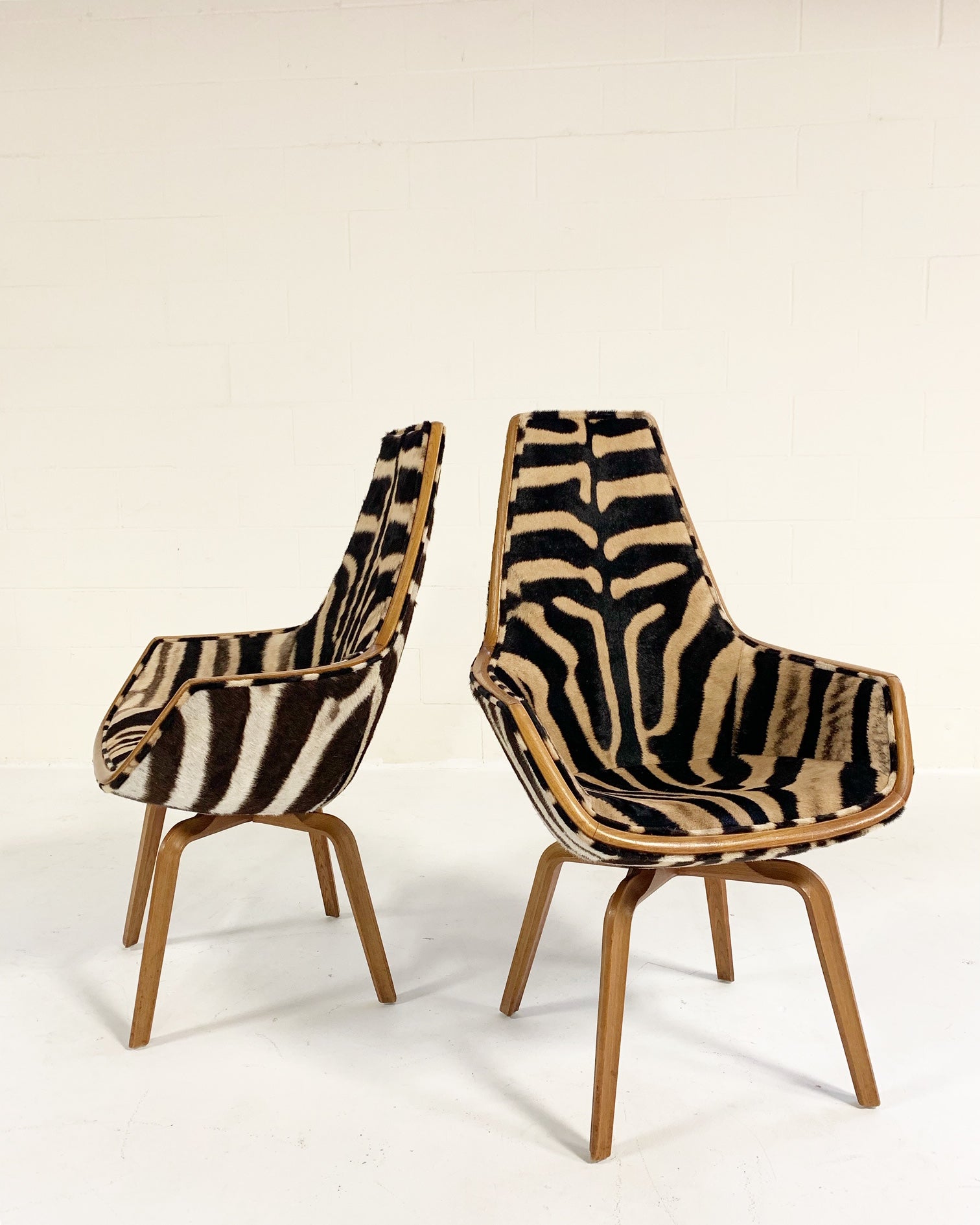 Rare Giraffe Chairs in Zebra Hide, pair - FORSYTH