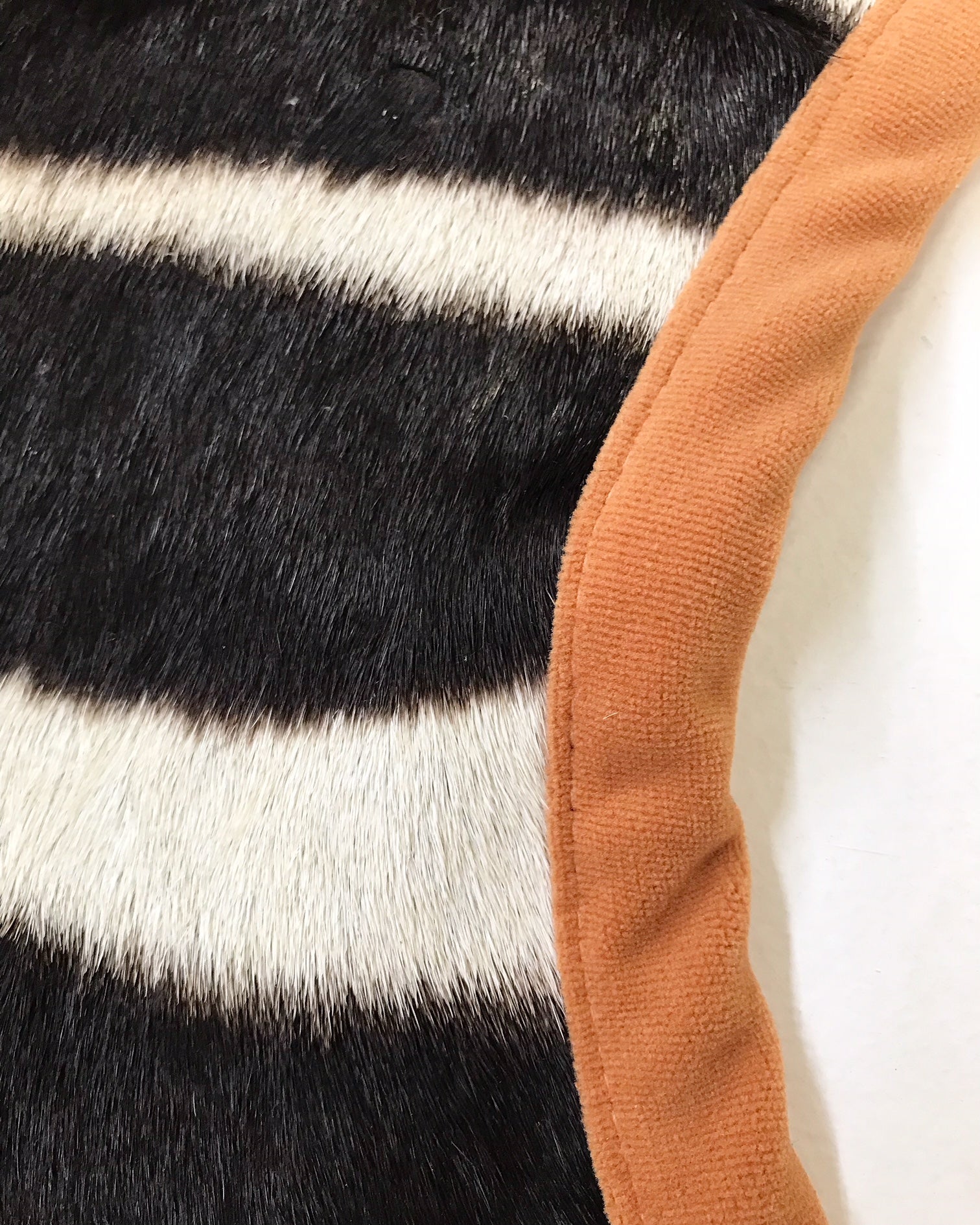 Zebra Hide Rug, Trimmed in Velvet - FORSYTH