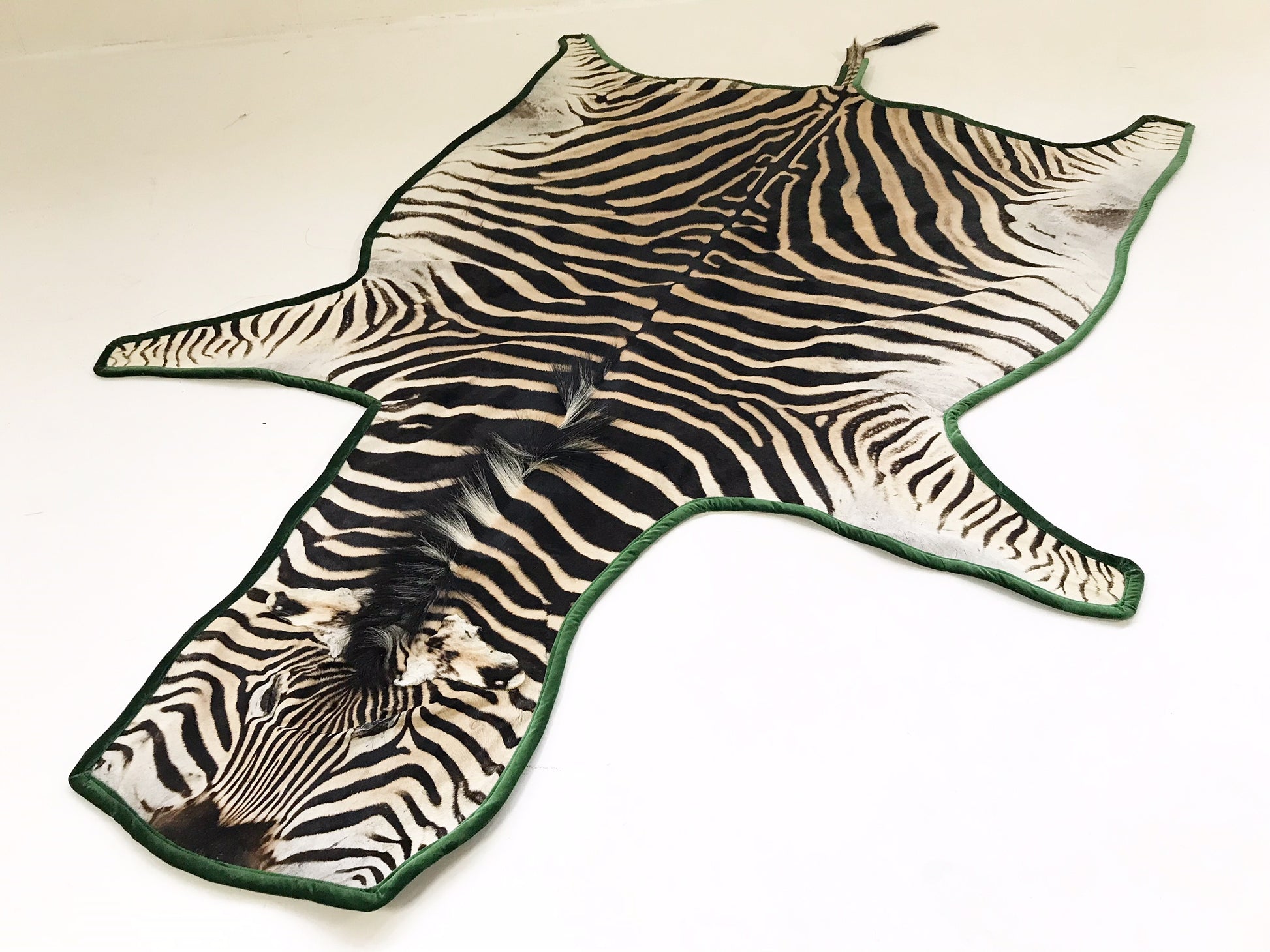 Zebra Hide Rug, Trimmed in Velvet - FORSYTH
