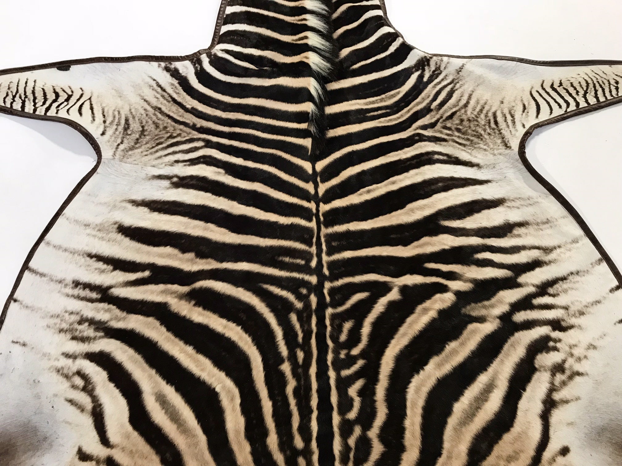 Zebra Hide Rug, Trimmed in Leather - FORSYTH