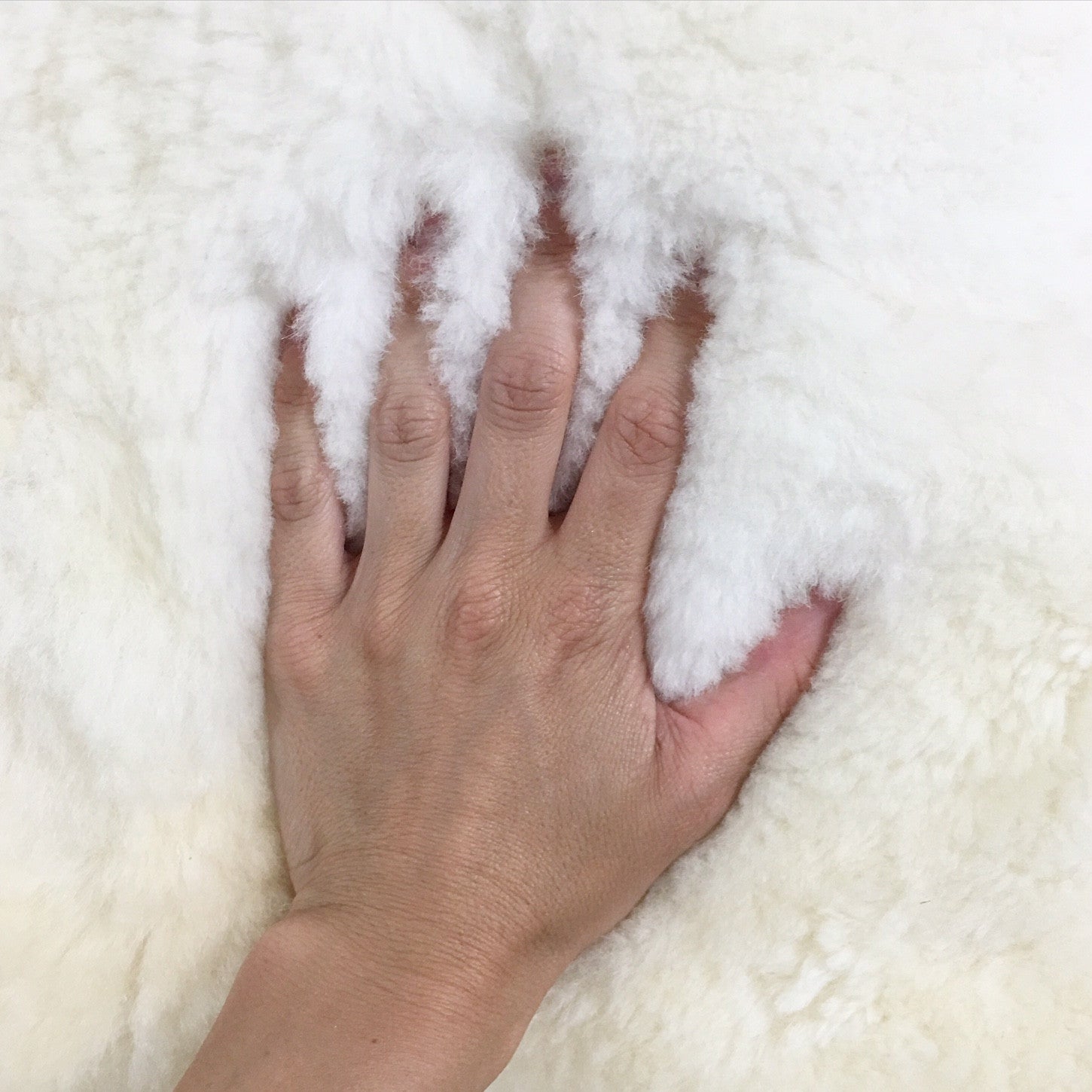 Alpaca Pillow - FORSYTH