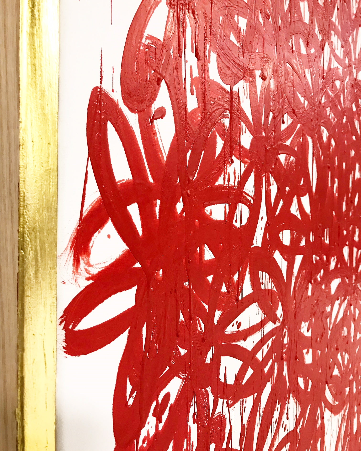 Daisies, Red. - FORSYTH