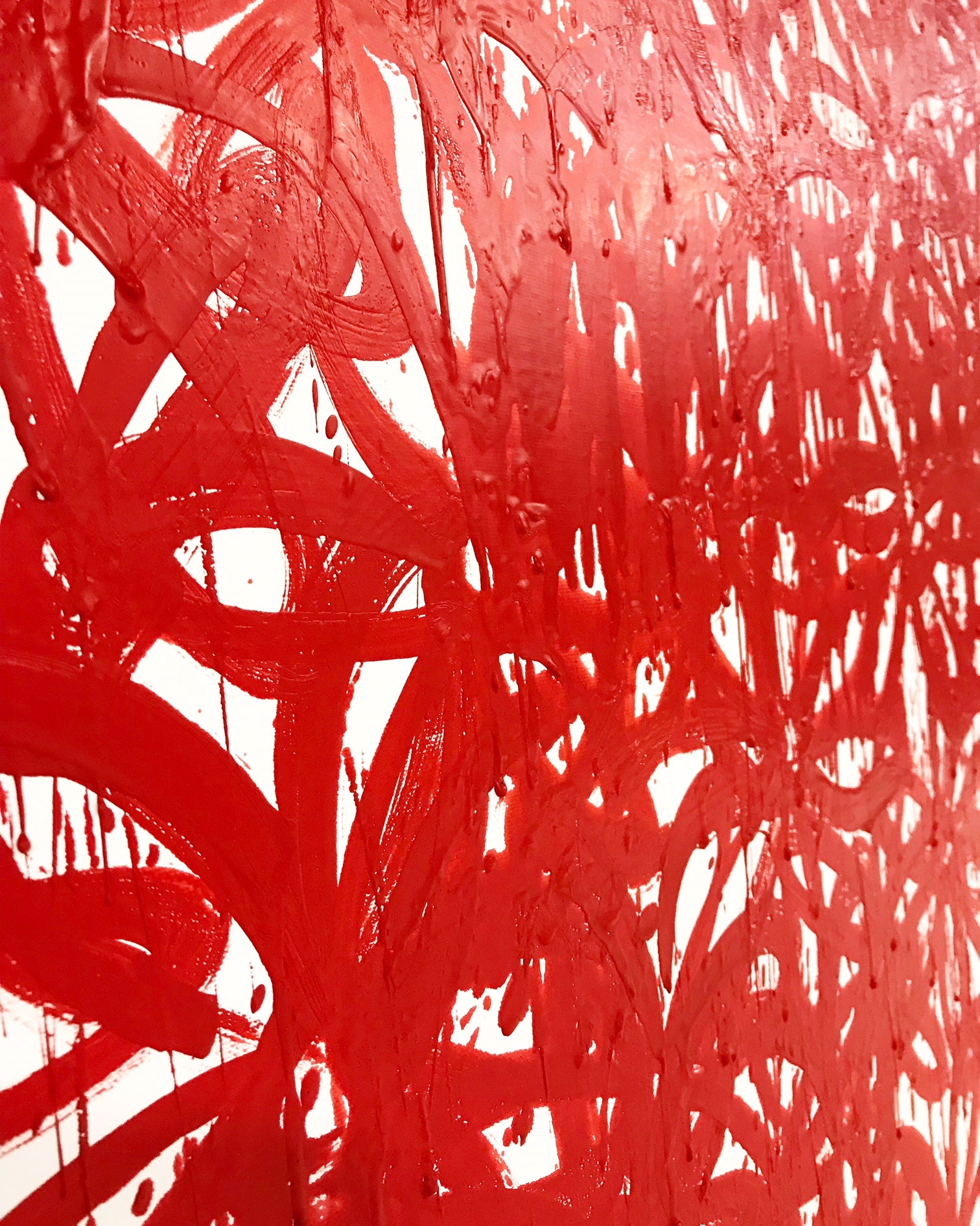 Daisies, Red. - FORSYTH