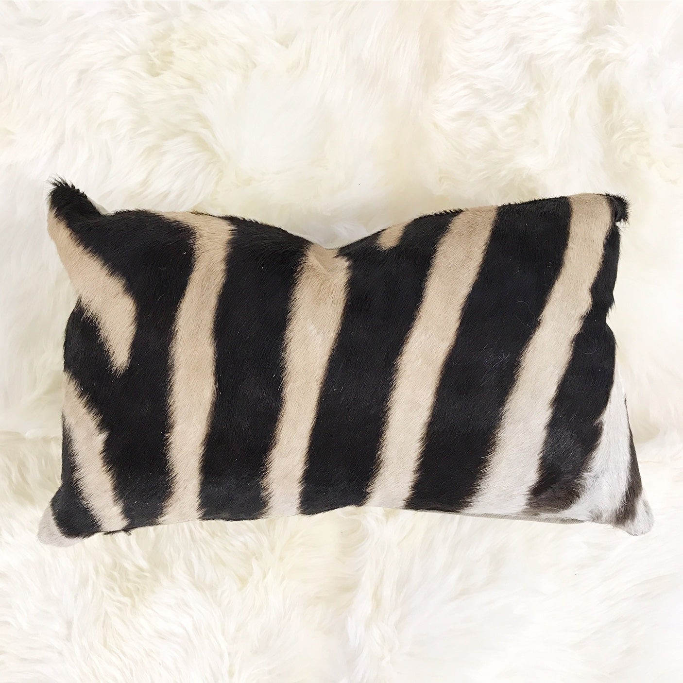 Zebra Pillow, 21x13" - FORSYTH