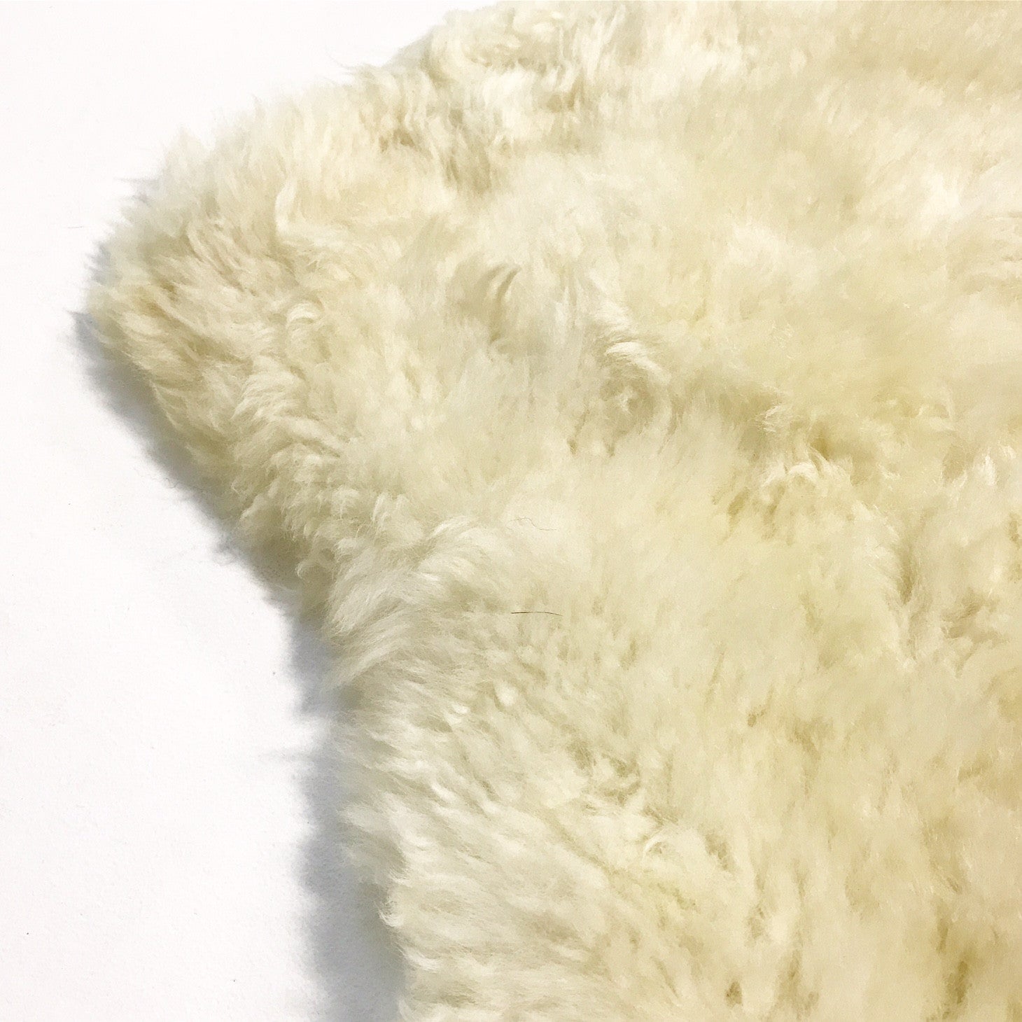 Brazilian Sheepskin Rug - Ivory - FORSYTH