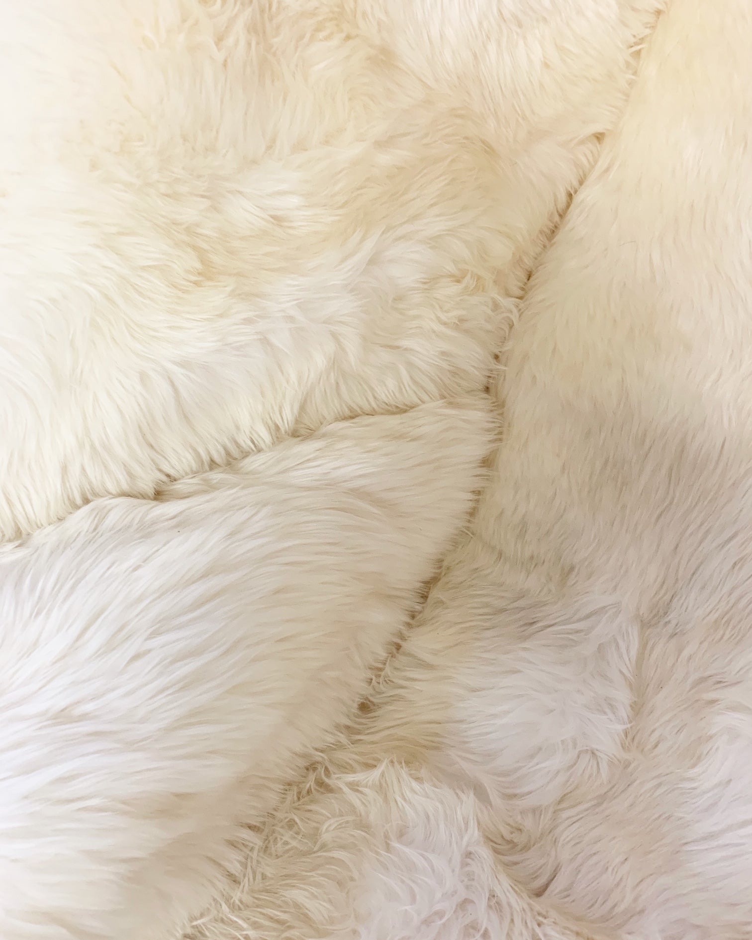 Alpha Egg Chair and Ottoman in New Zealand Sheepskin - FORSYTH