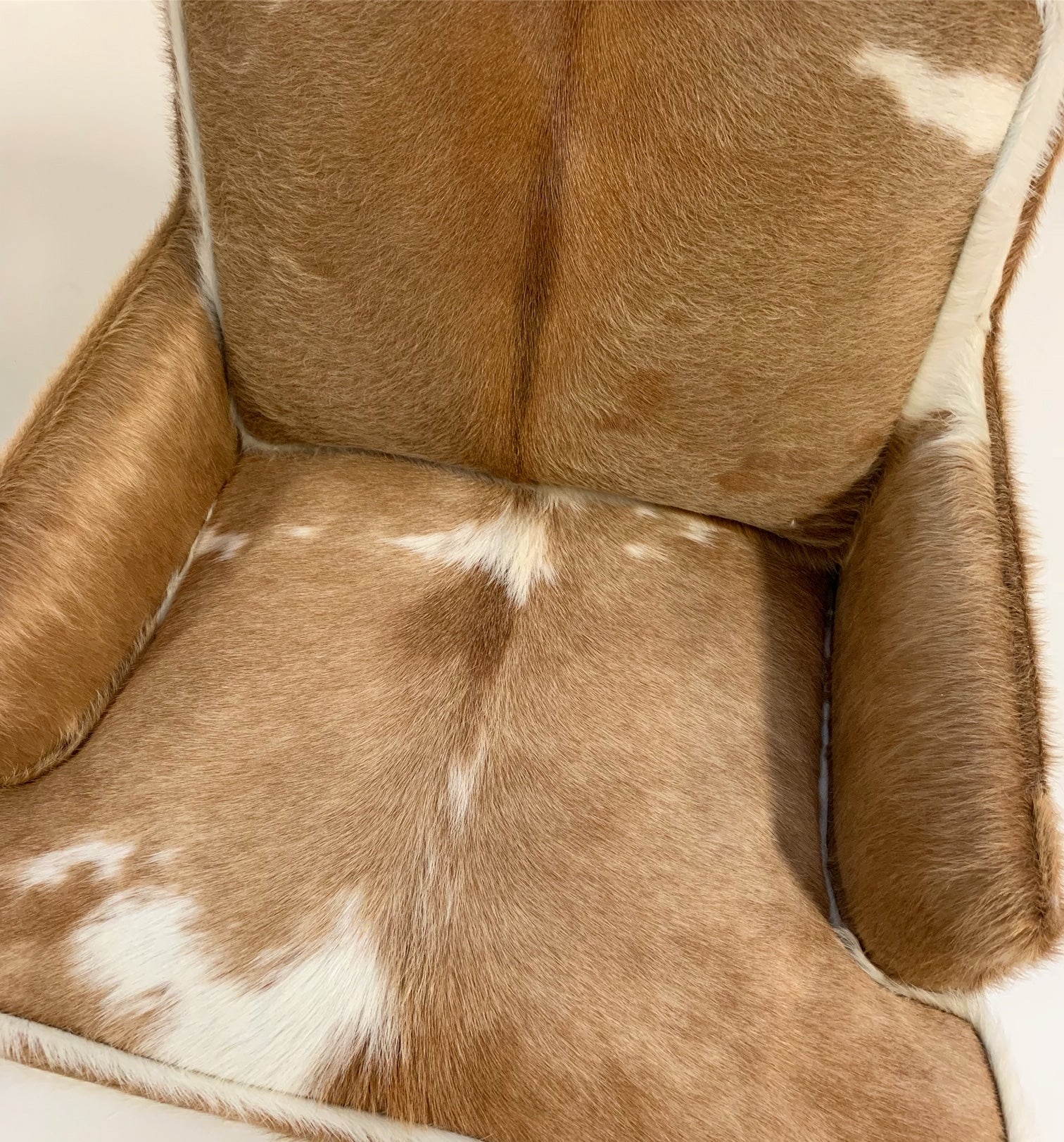 Lounge Chairs in Brazilian Cowhide, pair - FORSYTH