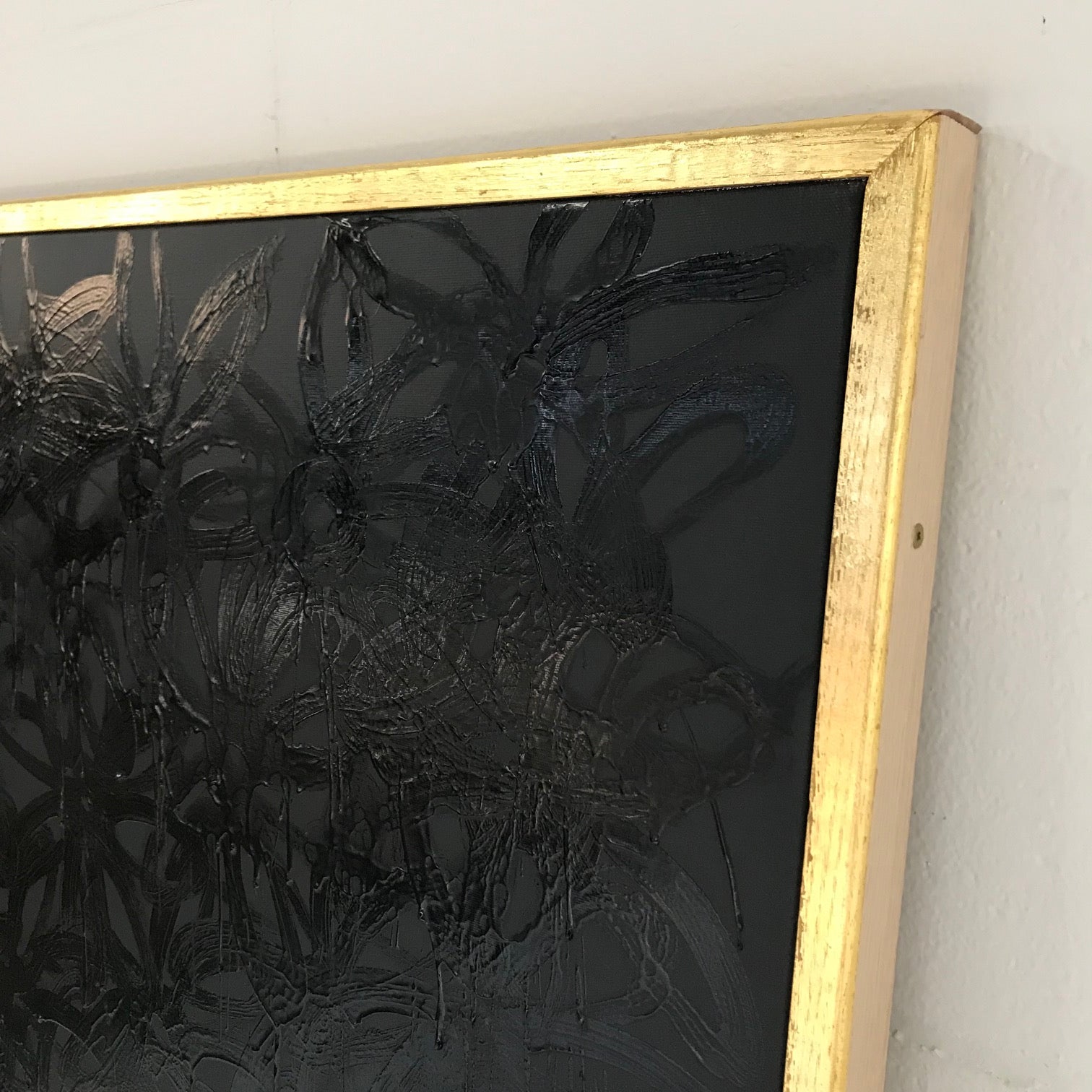 Daisies, Black on Black. - FORSYTH