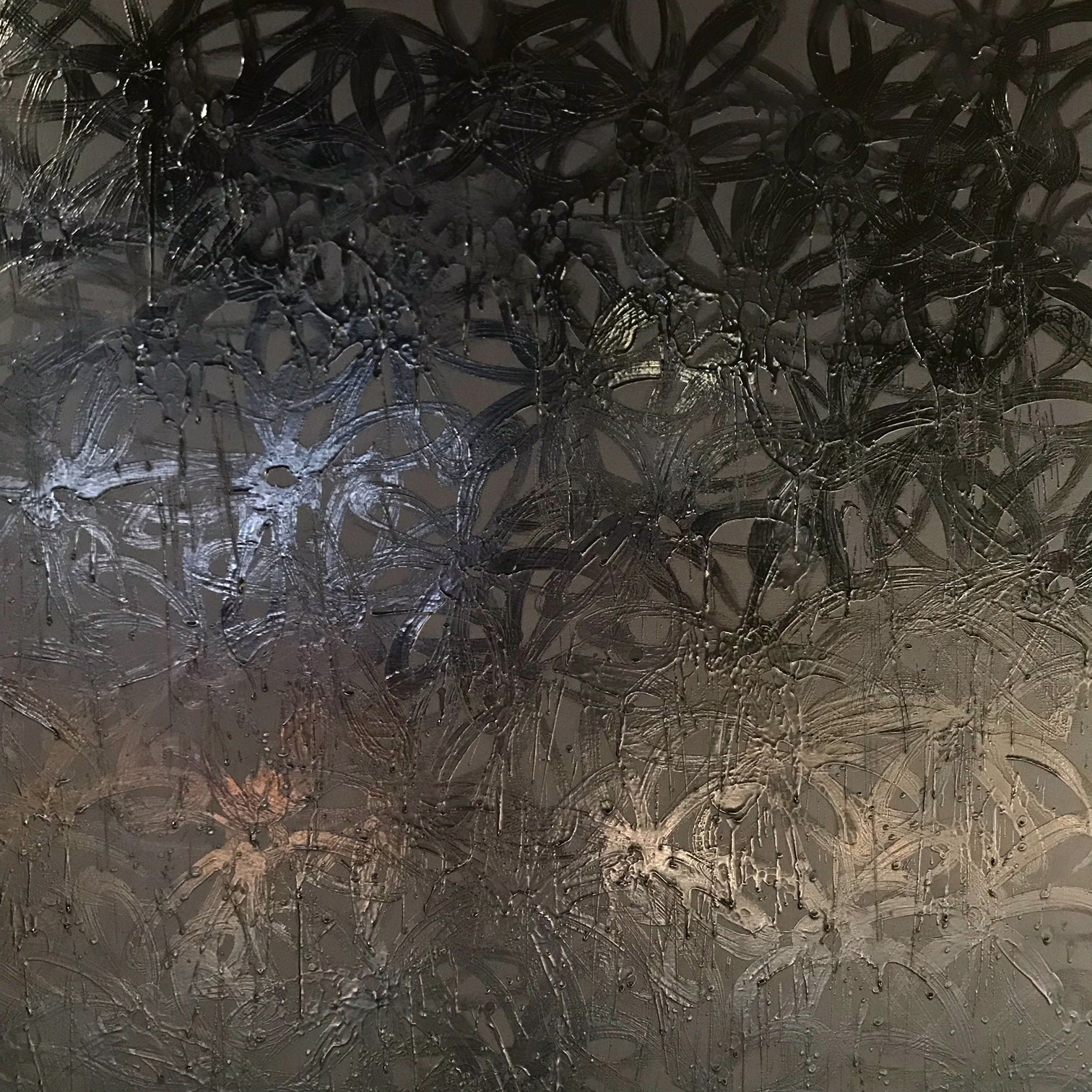 Daisies, Black on Black. - FORSYTH