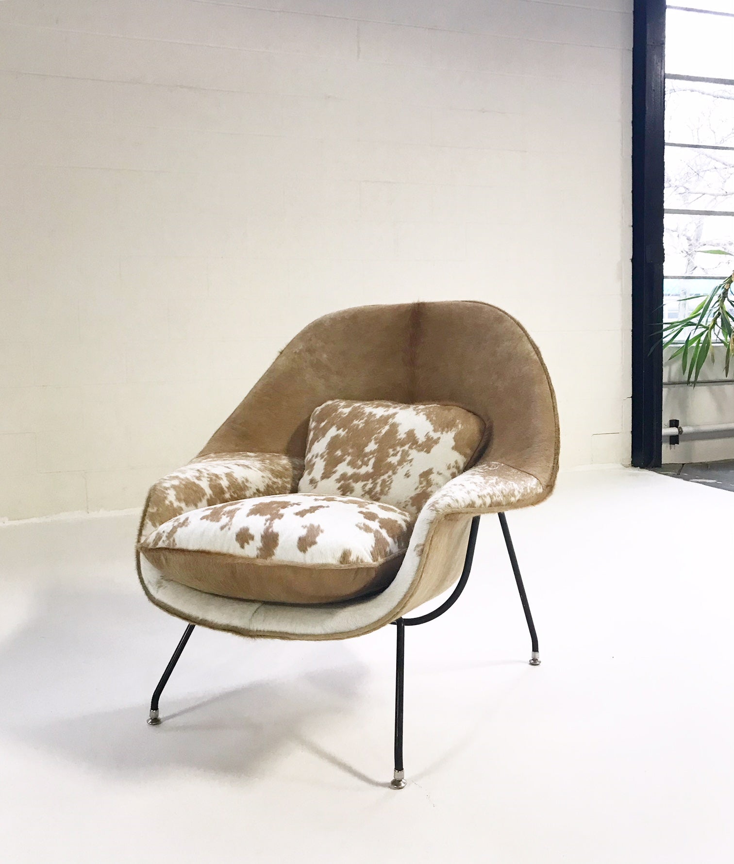 Womb Chair in Brazilian Cowhide - FORSYTH