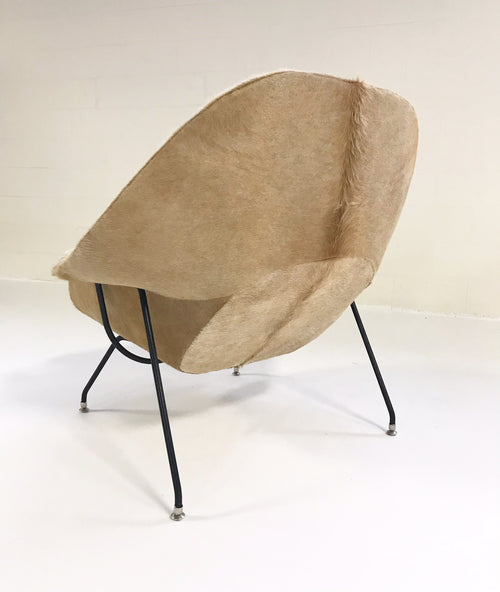 Womb Chair in Brazilian Cowhide - FORSYTH