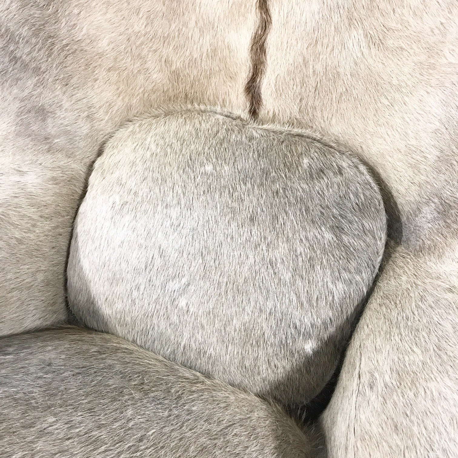 Womb Chair in Brazilian Cowhide - FORSYTH