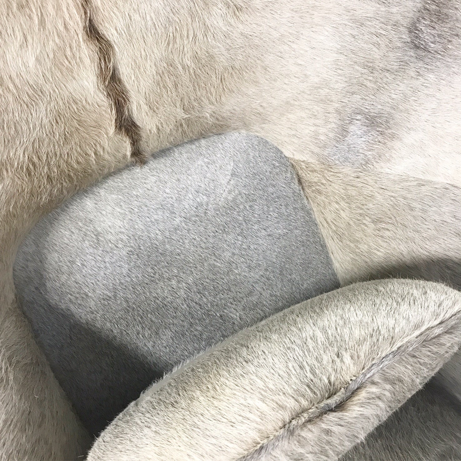 Womb Chair in Brazilian Cowhide - FORSYTH