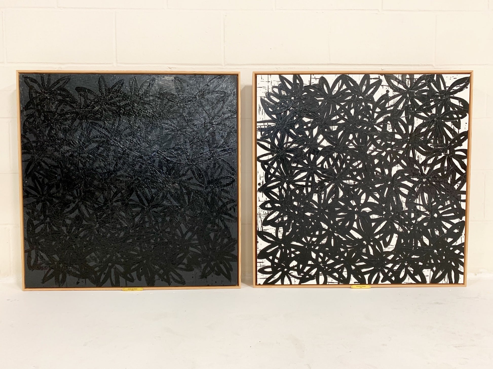 Daisies, Black and White. - FORSYTH