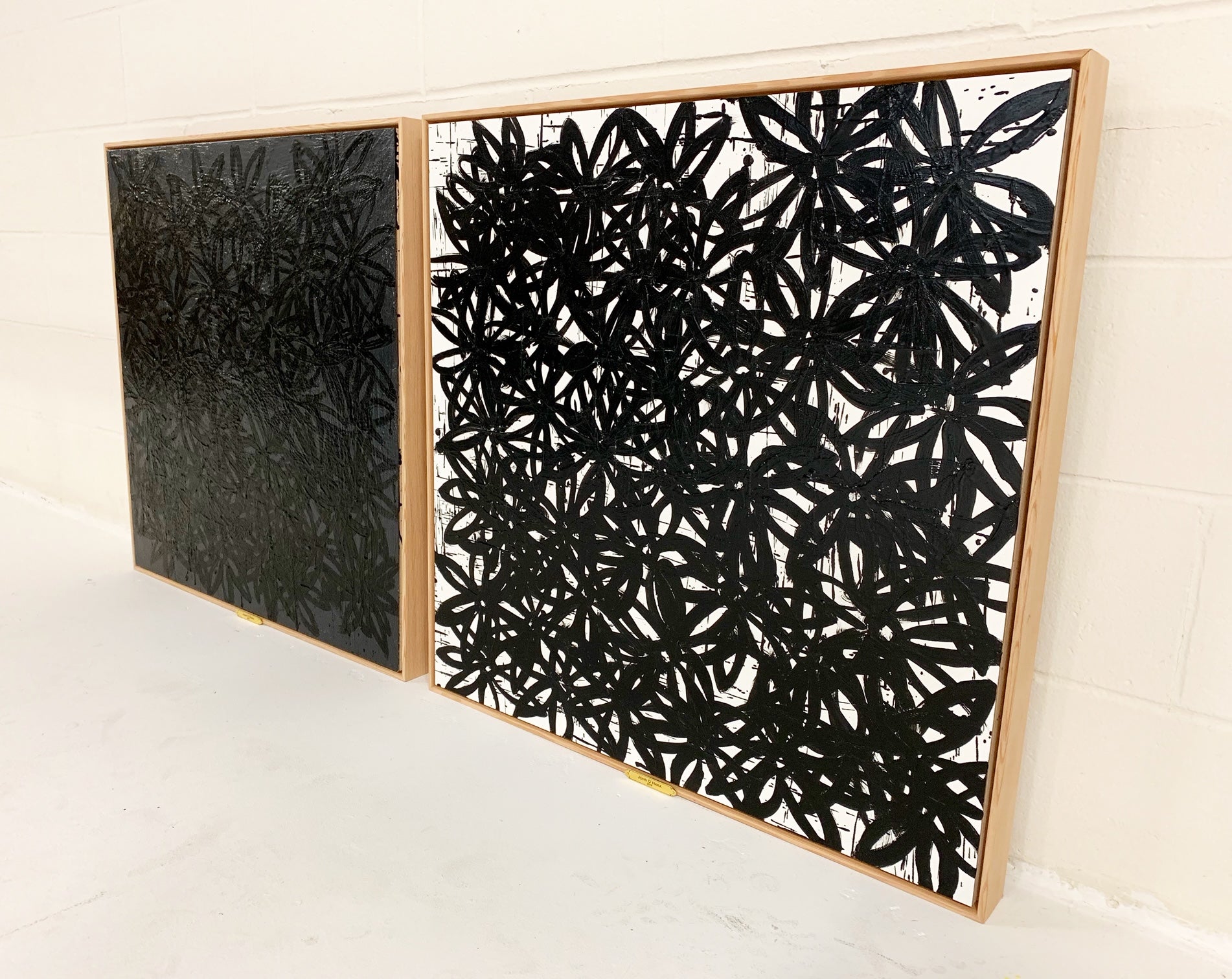 Daisies, Black and White. - FORSYTH