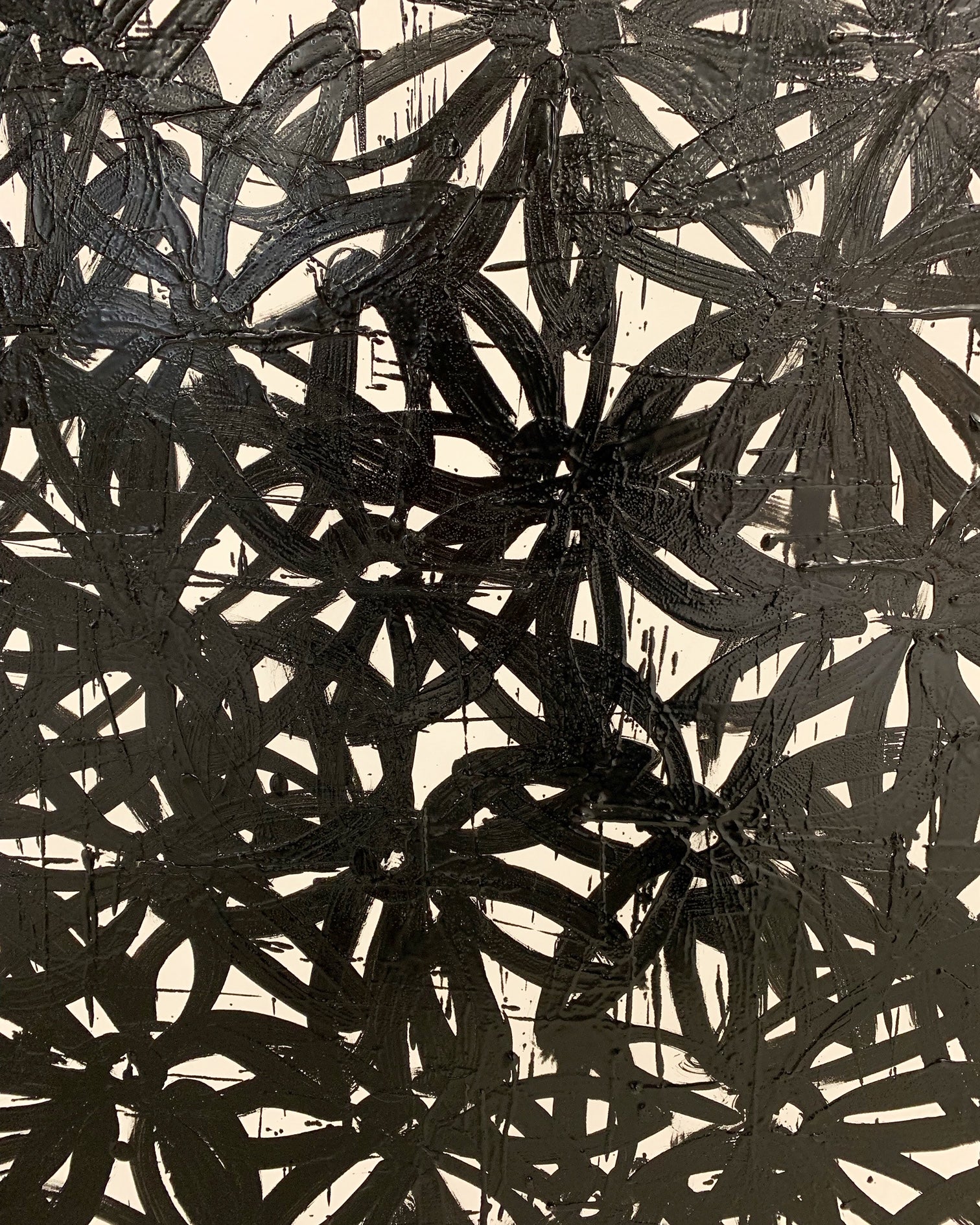 Daisies, Black and White. - FORSYTH