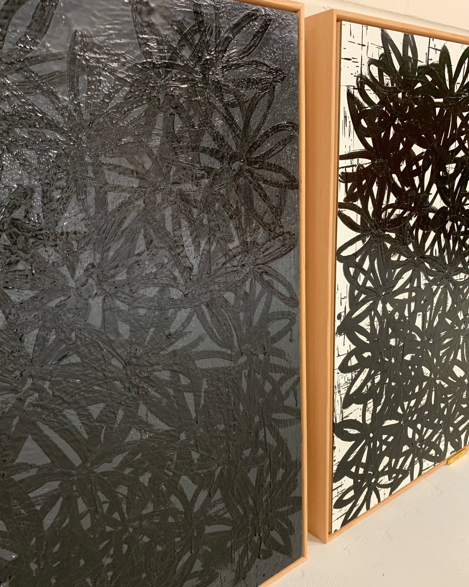 Daisies, Black and White. - FORSYTH