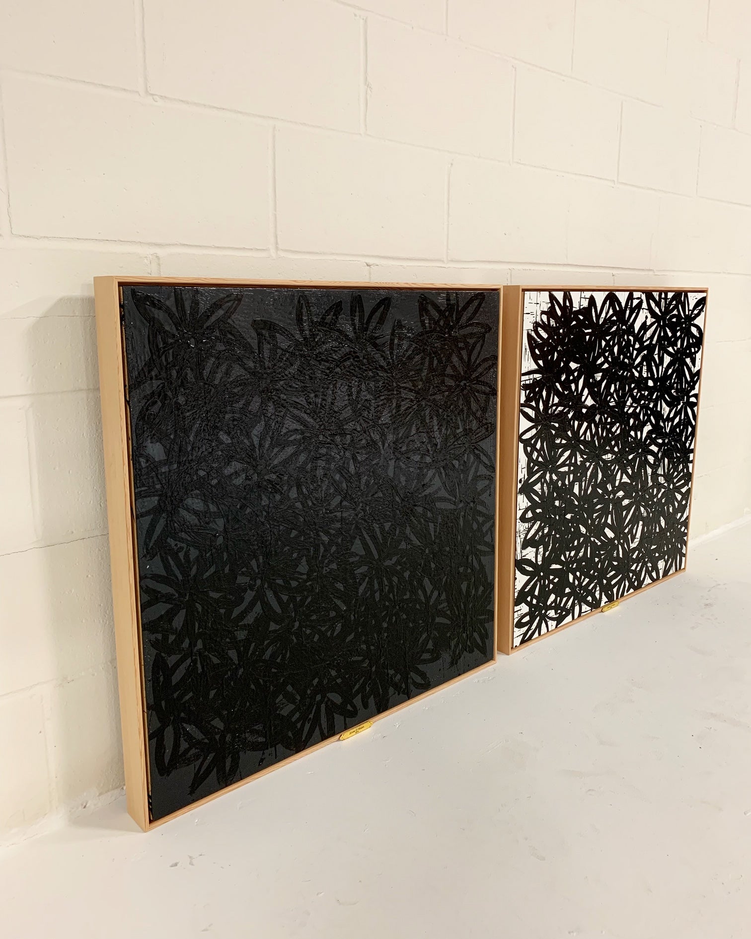 Daisies, Black and White. - FORSYTH