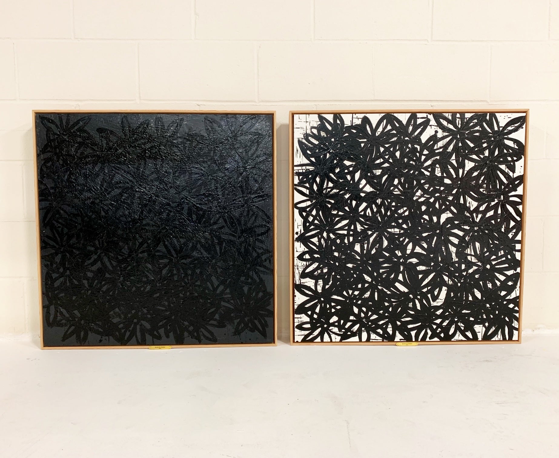 Daisies, Black and White. - FORSYTH