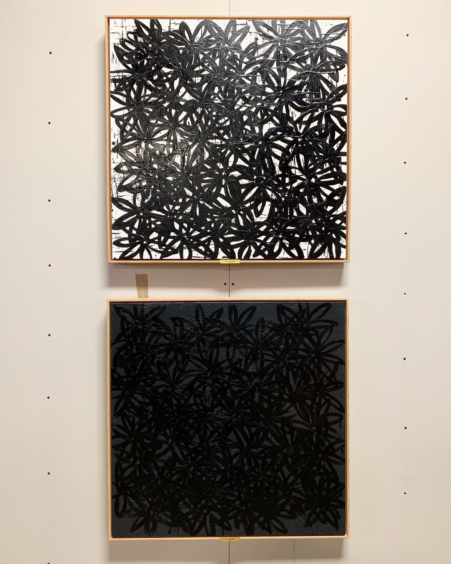 Daisies, Black and White. - FORSYTH