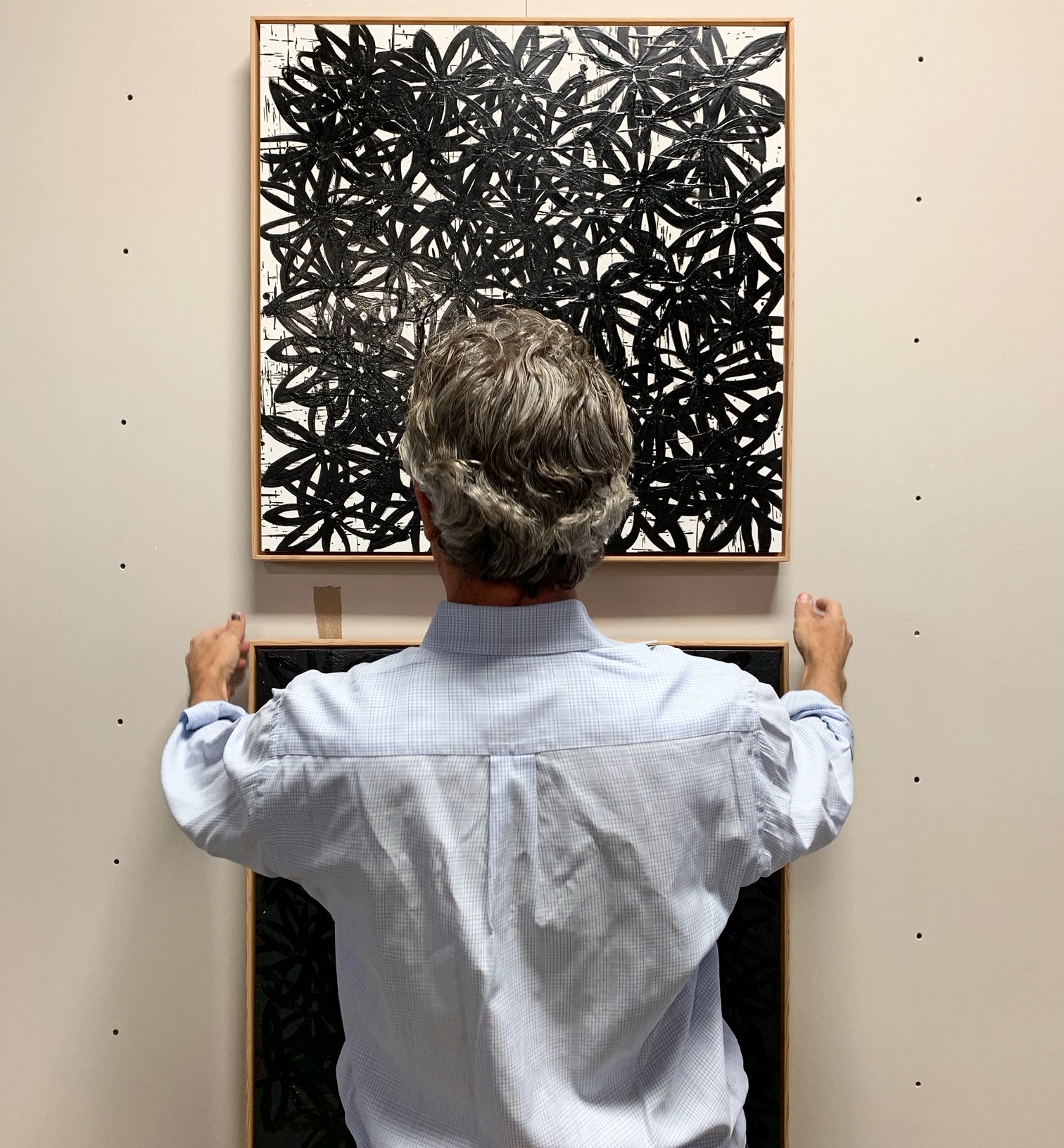 Daisies, Black and White. - FORSYTH