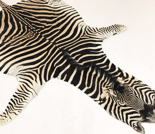 Zebra Hide Rug - FORSYTH