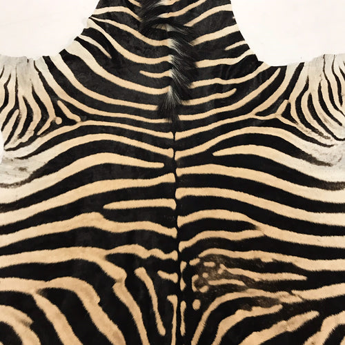 Zebra Hide Rug - FORSYTH