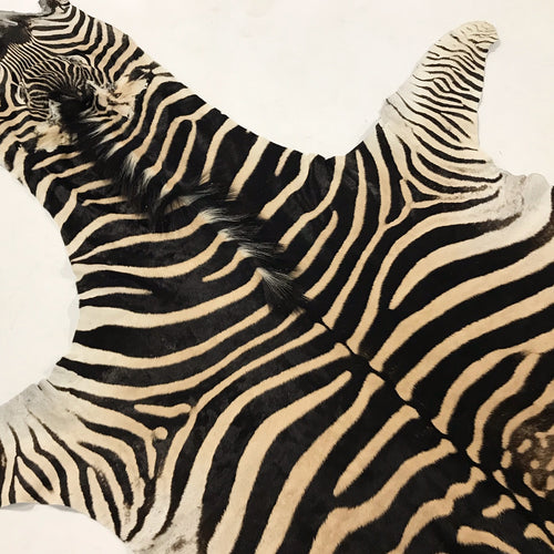 Zebra Hide Rug - FORSYTH