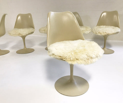 Tulip Chairs with Brazilian Sheepskin Cushions, set of 6 - FORSYTH