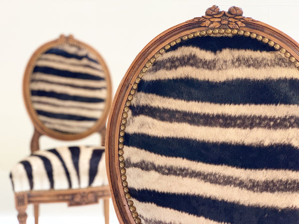 Louis XVI Style Side Chairs in Zebra Hide, pair - FORSYTH