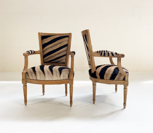 Louis XVI Style Armchairs in Zebra Hide, pair - FORSYTH