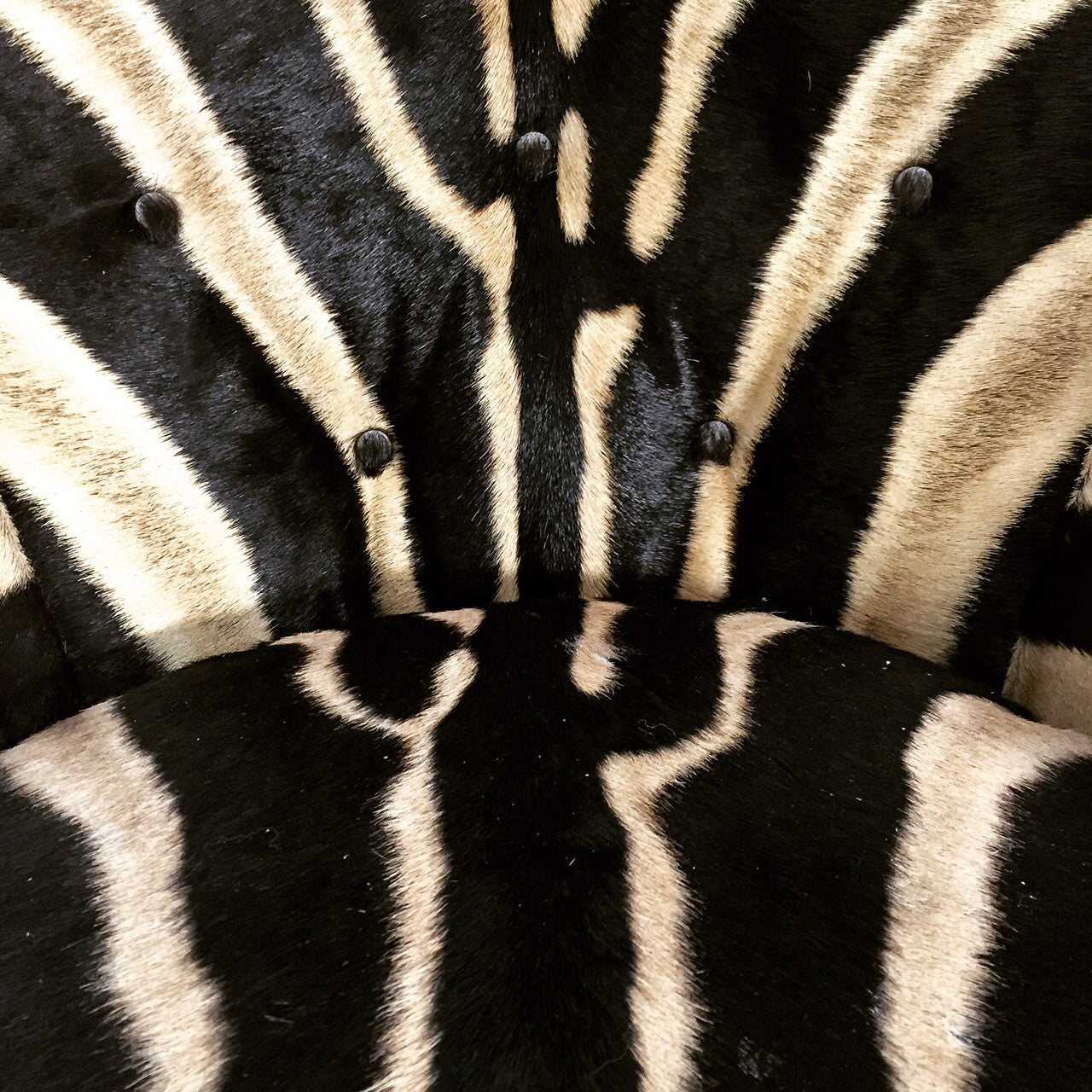 Swivel Tilt Club Chairs in Zebra Hide, pair - FORSYTH