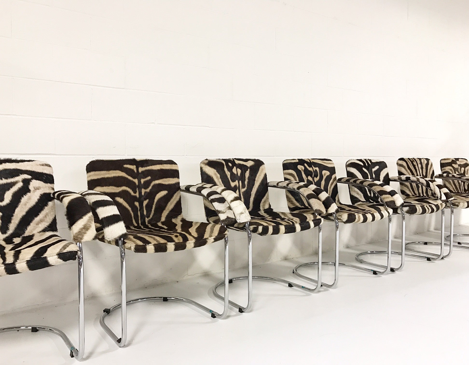 Lens Dining Chairs in Zebra Hide, set of 8 - FORSYTH